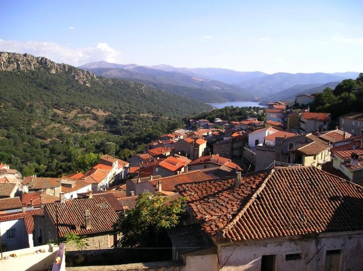 gavoifotodiaureliopullara